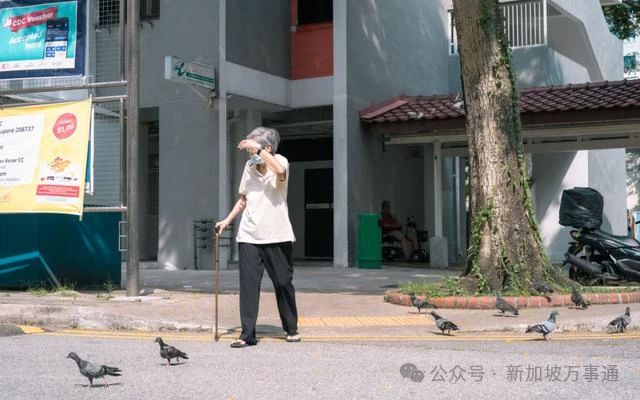 开元体育官网我正在新加坡遭遇“10大酷刑”！看到第3条忍不住了(图14)