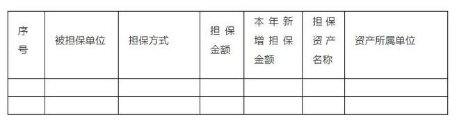 开元体育实用干货 财务分析模板(图2)