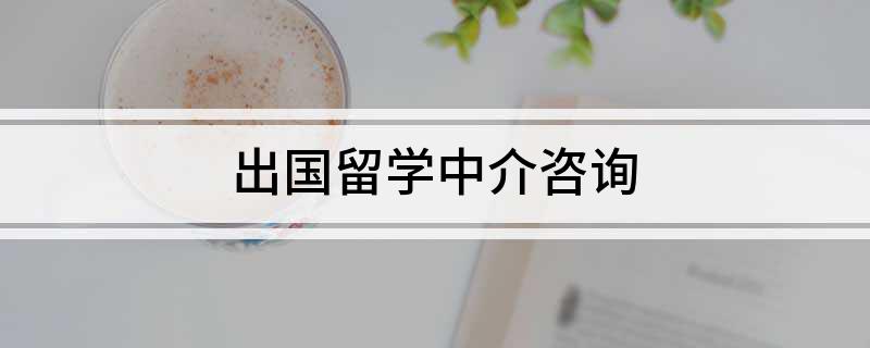 开元体育官网入口出国留学中介咨询(图1)