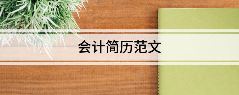 开元体育会计简历范文(图1)