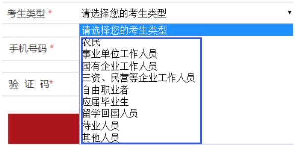 开元体育官网入口2021国考：手把手教你填好报名填写个人信息表(图2)